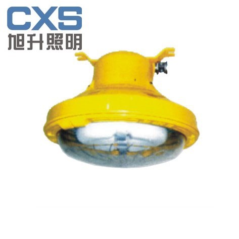 供应BFC8182长寿低耗防爆灯，防爆无极灯